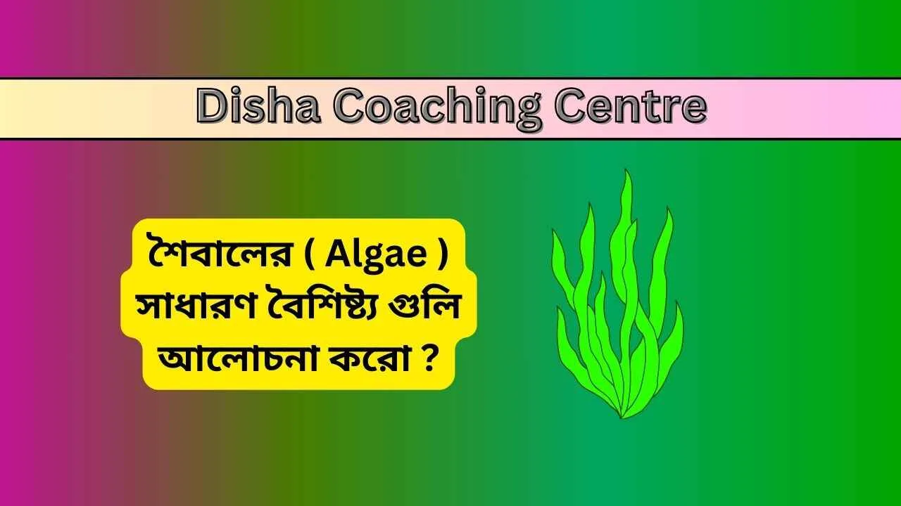 শৈবালের ( Algae ) সাধারণ বৈশিষ্ট্য গুলি আলোচনা করো